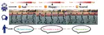 EMoG: Emotion-Modulated Gait Generation for Expressive Humanoid Locomotion
